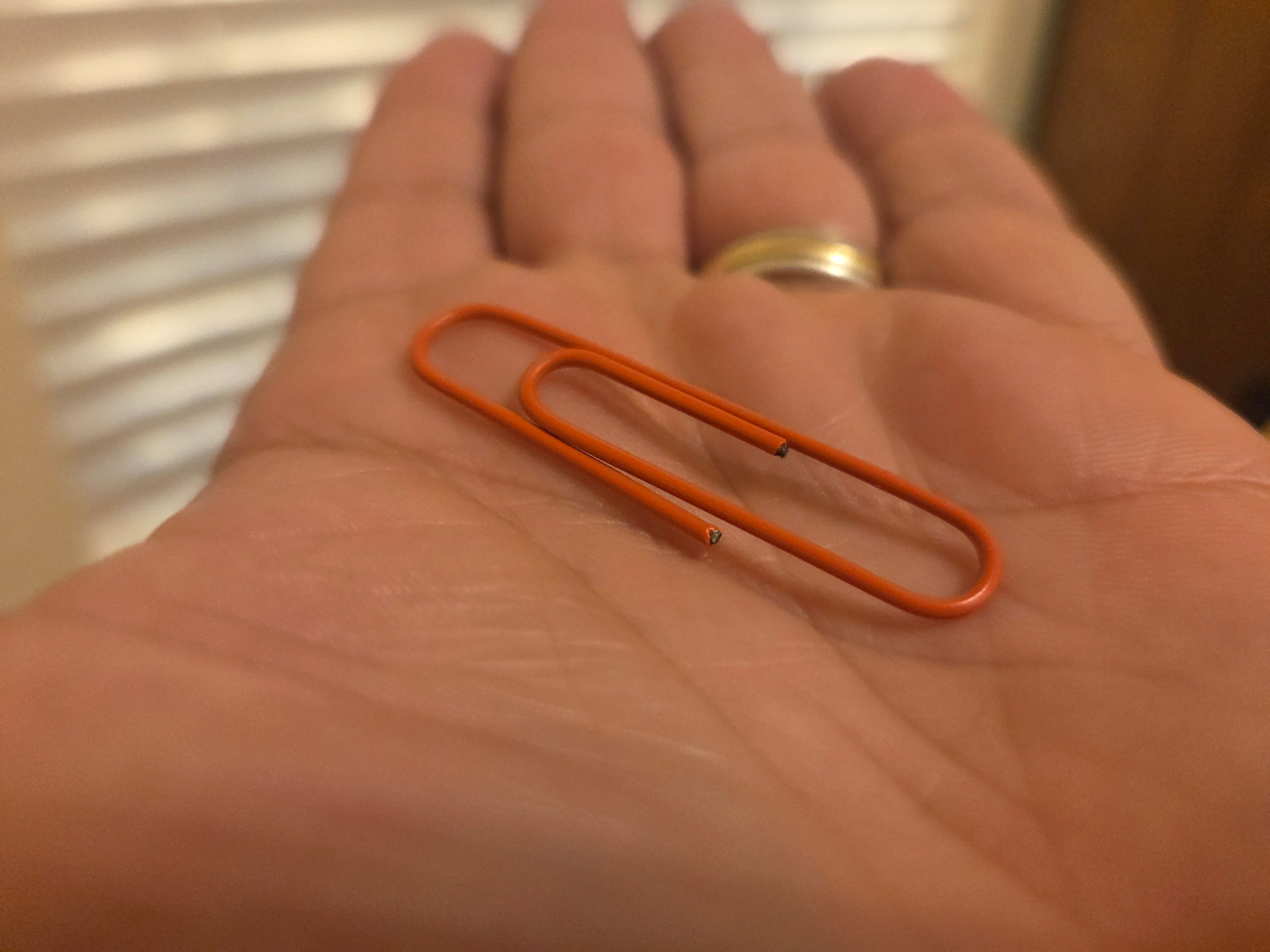 Eric's starting item: an orange paperclip resting in his open palm